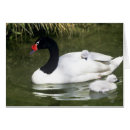 Search for interaction postcards Nobody