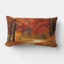 Search for mojo lumbar cushions Autumn