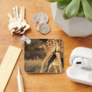 Search for baby giraffe key rings Nature