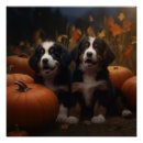 Search for bernese mountain dog puppy posters Animal