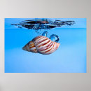 Search for drop posters Ocean