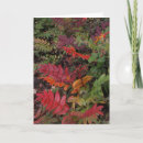 Search for oregon christmas cards Green