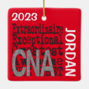 Search for nursing assistant christmas tree decorations Cna