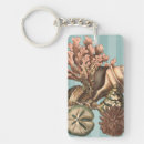 Search for sea life key rings Seashell