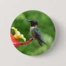 Search for for rubie badges Nature