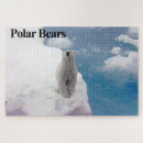 Search for ice bear Blue