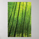 Search for bamboo forest posters Zen