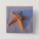 Search for sand badges Starfish