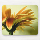 Search for gerbera mousepads Flower