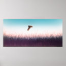 Search for hawk paintings posters Avian