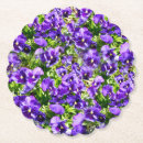 Search for pansy barware Flowers