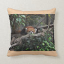 Search for red panda cushions Kids