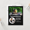 Search for mammal invitations Adorable