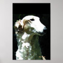 Search for borzois posters Sighthound