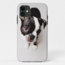Search for full iphone cases Pets