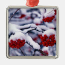 Search for frozen christmas tree decorations Season