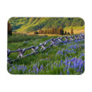 Search for railing magnets Blue