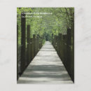 Search for boardwalks postcards Trees