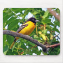 Search for baltimore mousepads Oriole