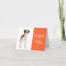 Search for brittany spaniel Puppy