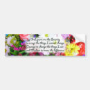 Search for serene bumper stickers Recovery