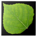Search for green leaf tiles Summer