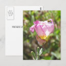 Search for primrose cards invites Yellow