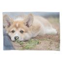 Search for corgi pillowcases Puppy
