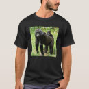 Search for lowland tshirts Gorilla