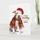 Search for bull terrier christmas cards Pets