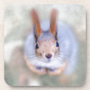 Search for bottom barware Animal
