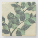 Search for cream coasters Botanical