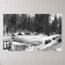Search for sequoia art Photograph