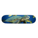 Search for miscellaneous skateboards Green