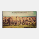 Search for safari animals electronics Unique