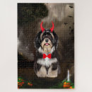 Search for halloween costume puzzles Pet