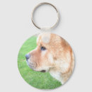 Search for it waits or key rings Dog