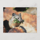 Search for cute mouse postcards Adorable