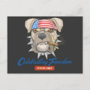 Search for of july postcards Stars and stripes