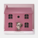 Search for inside envelope magnets Pink
