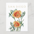 Search for midcentury postcards California