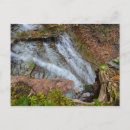 Search for np postcards Waterfall