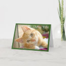 Search for cat graduate cards Kitten