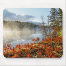Search for upper peninsula electronics Forest
