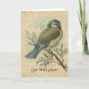 Search for bluetit Get well soon