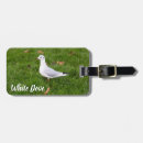 Search for doves travel accessories Animal