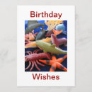 Search for shark photo cards Sharks