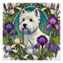Search for irie posters Dog