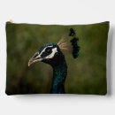 Search for peacock accessories Peahen