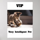 Search for adorable posters Kitten